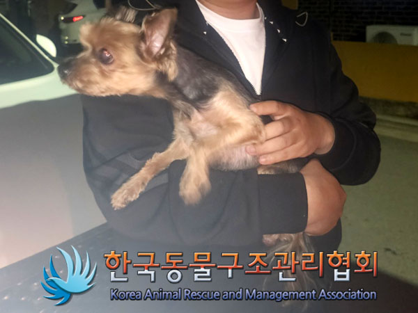 한국동물구조관리협회_411315202300279